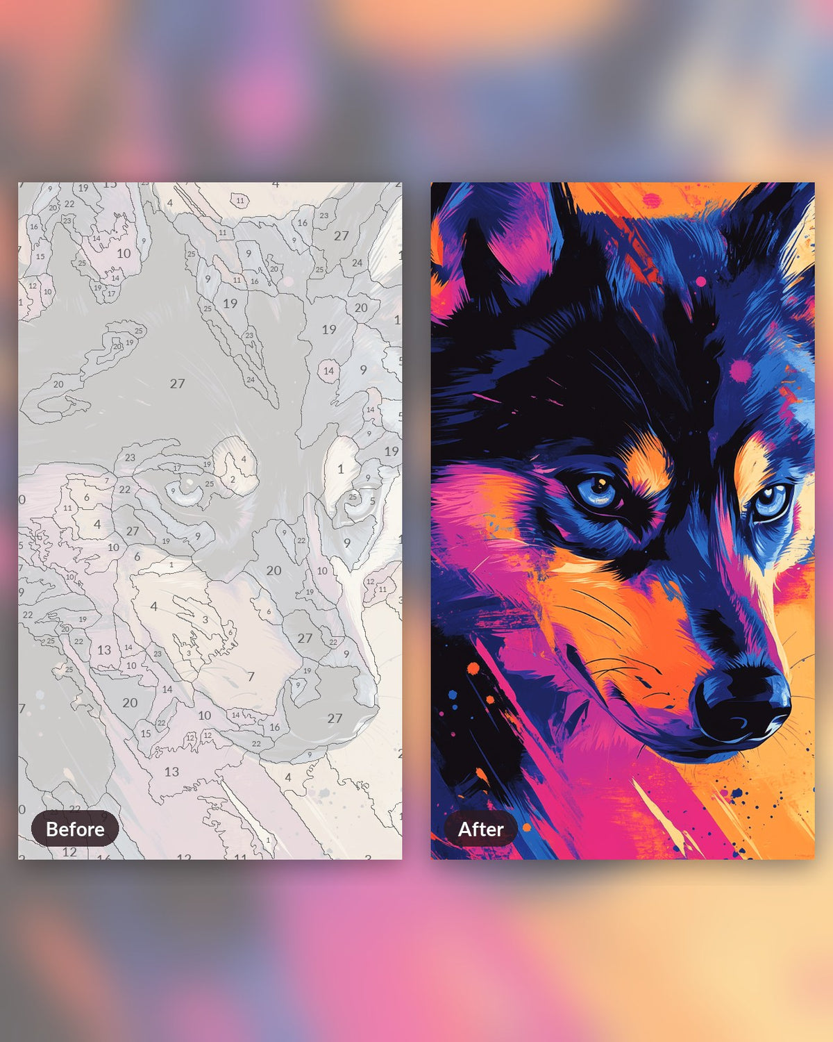 Spry Husky paint by numbers kit, before and after