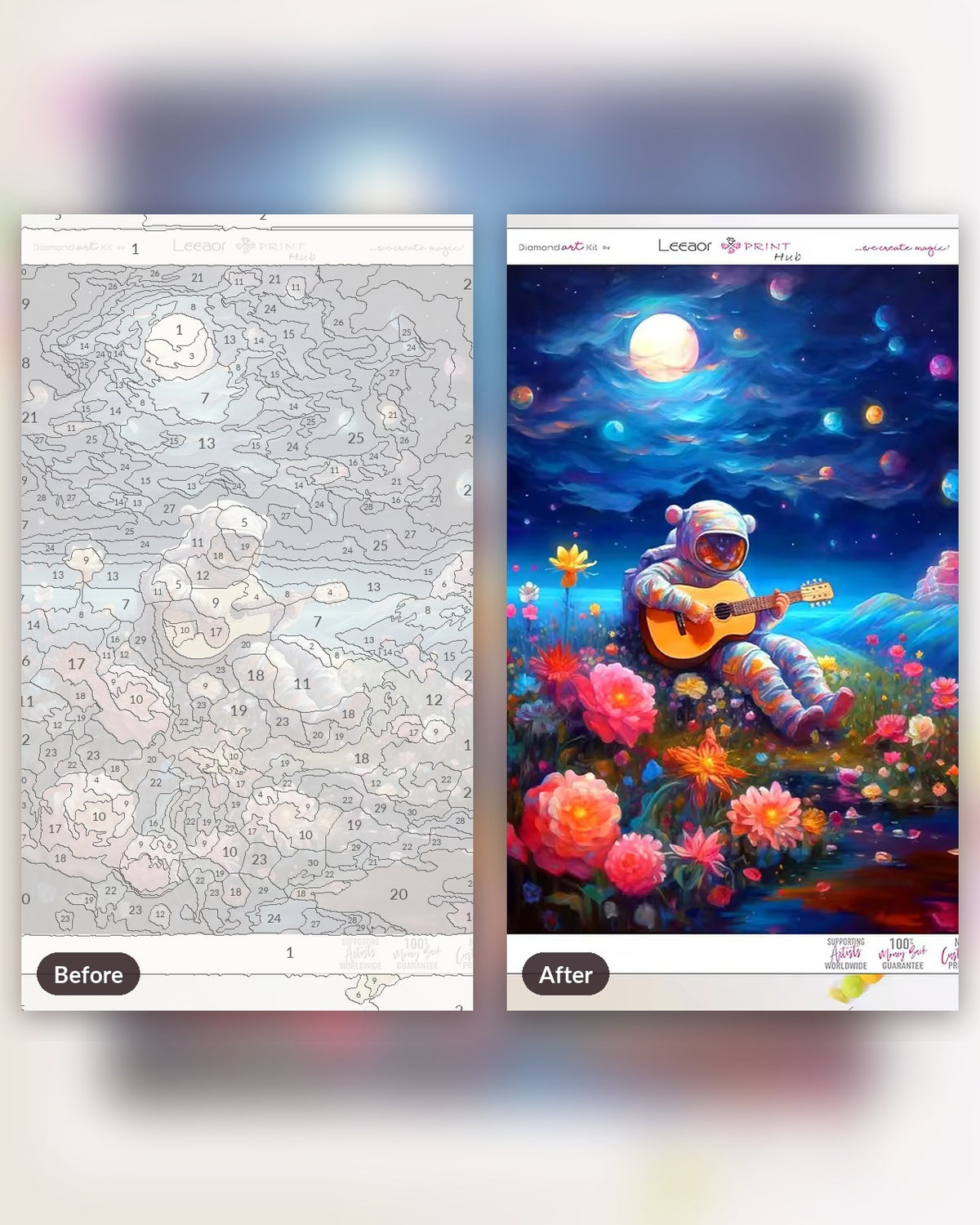 Stellar Garden paint by numbers kit, before and after