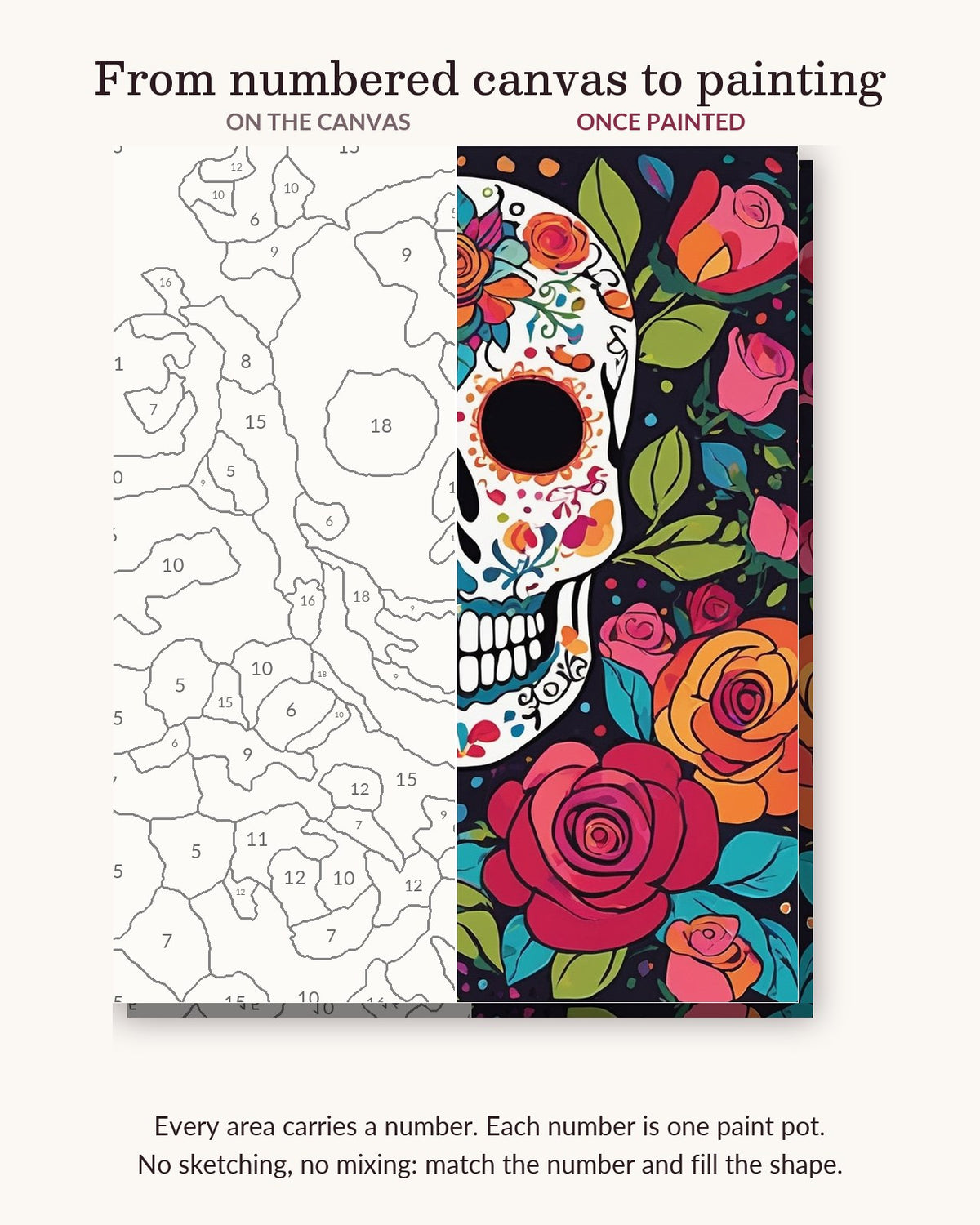 Sugar Skull with Roses numbered canvas next to the finished painting
