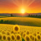 Sunflower Field at Golden Hour paint by numbers kit