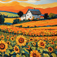 Sunflower Field at Golden Hour paint by numbers kit