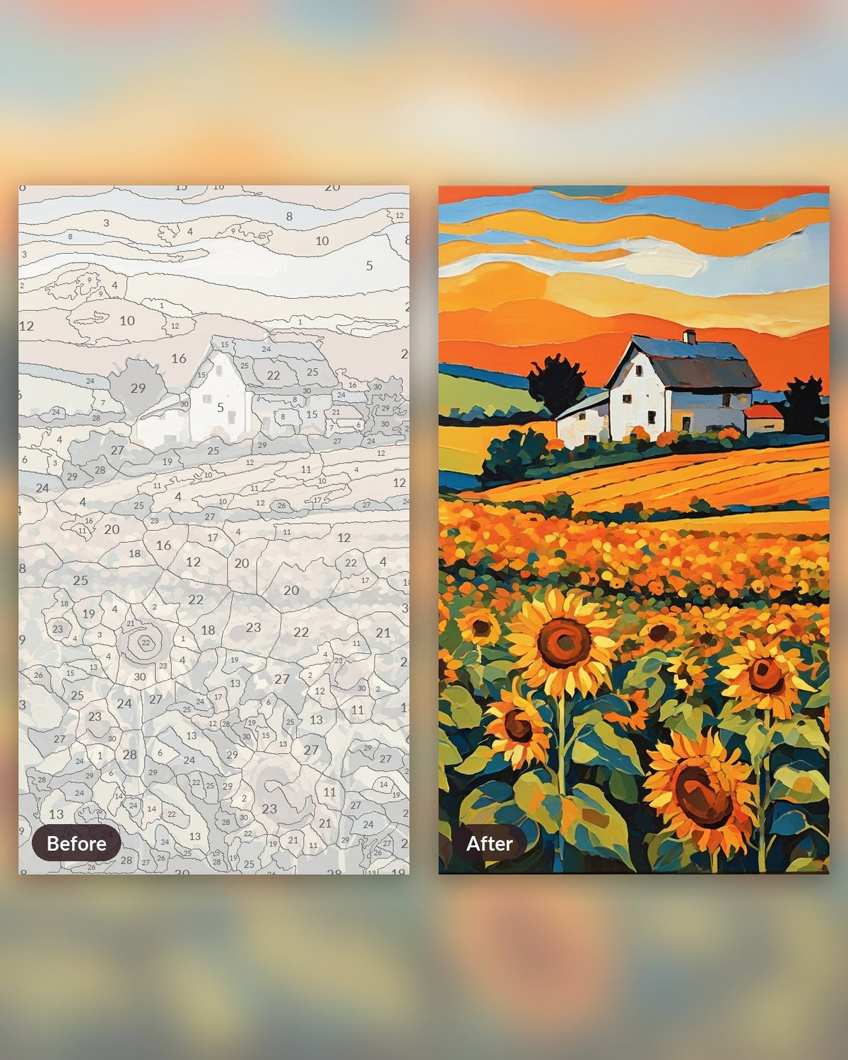 Sunflower Field at Golden Hour paint by numbers kit, before and after
