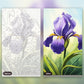 Sunlit Iris paint by numbers kit, before and after