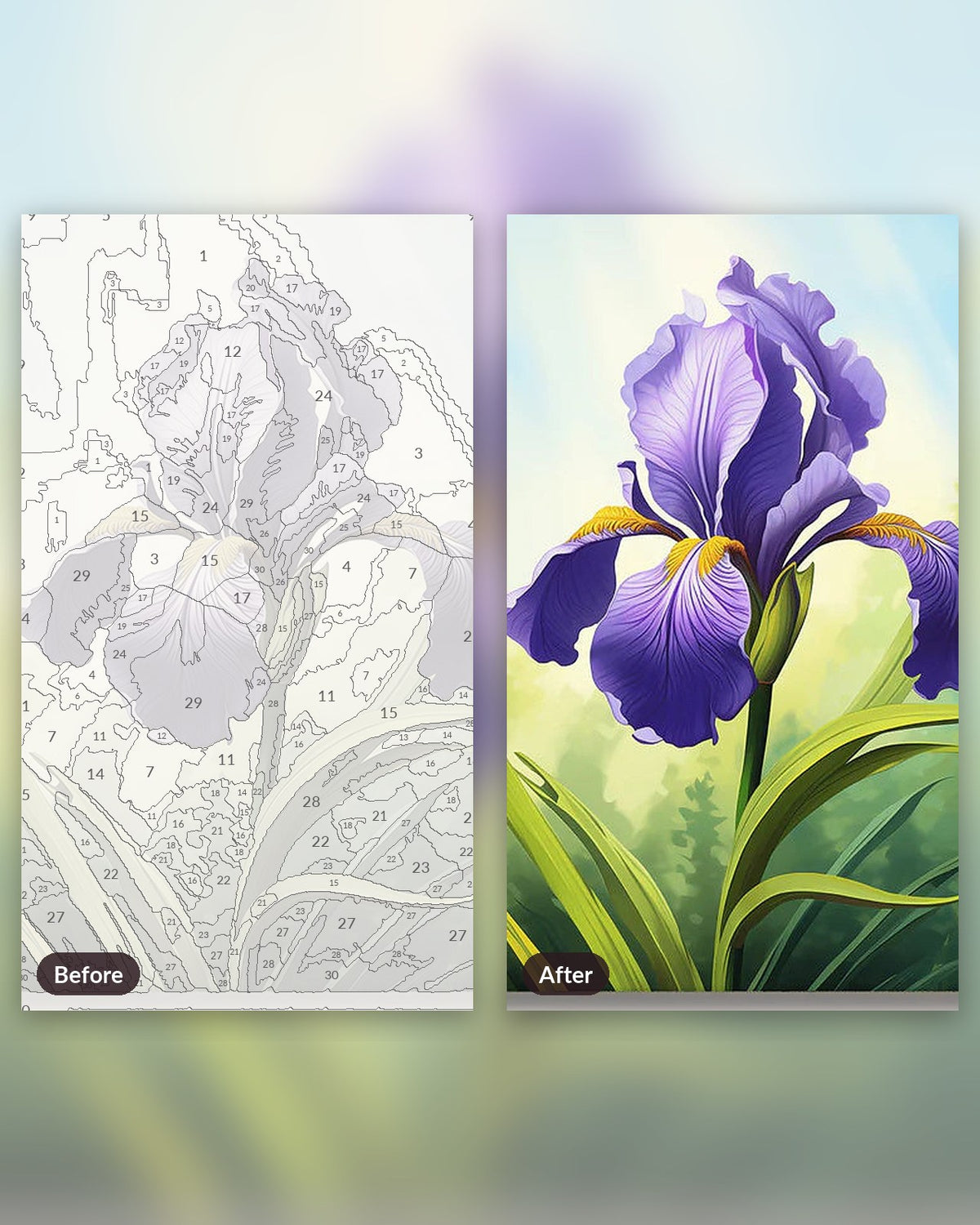 Sunlit Iris paint by numbers kit, before and after