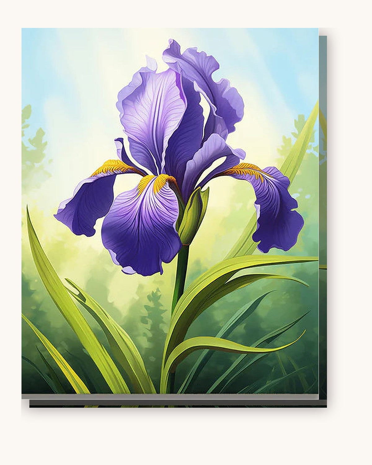Sunlit Iris paint by numbers kit on stretched canvas