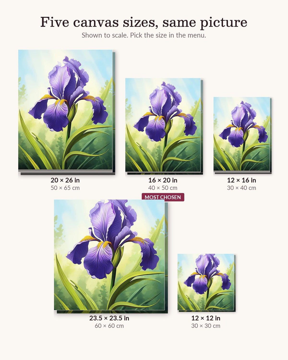 Sunlit Iris canvas sizes from 12 x 12 to 23.5 x 23.5 inches