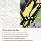 Close-up of the Swallowtail Butterfly on Purple Lavender canvas texture and printed numbers