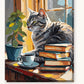 Tabby Cat and Books paint by numbers kit on stretched canvas