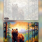The Bear's Dilemma paint by numbers kit, before and after