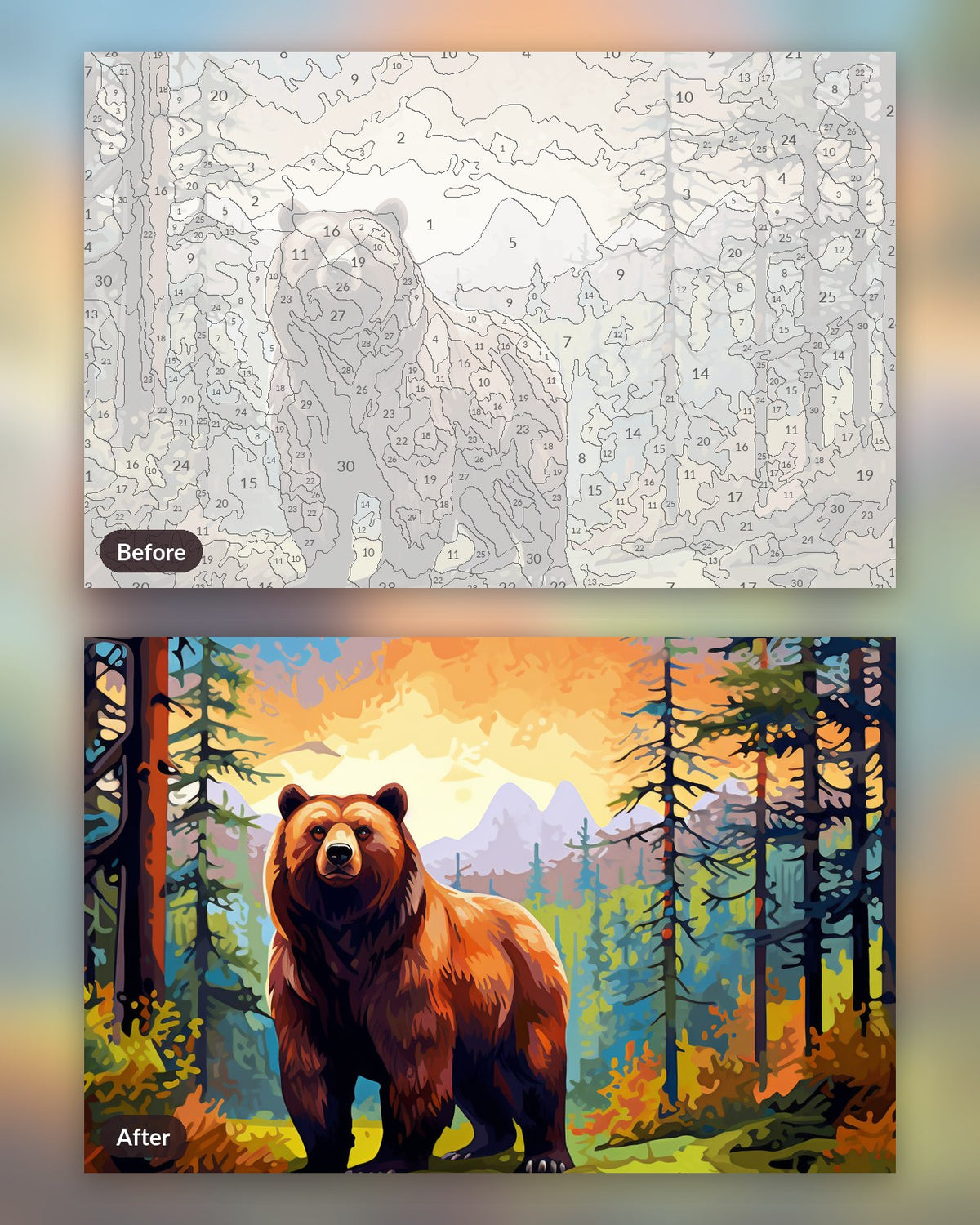 The Bear's Dilemma paint by numbers kit, before and after