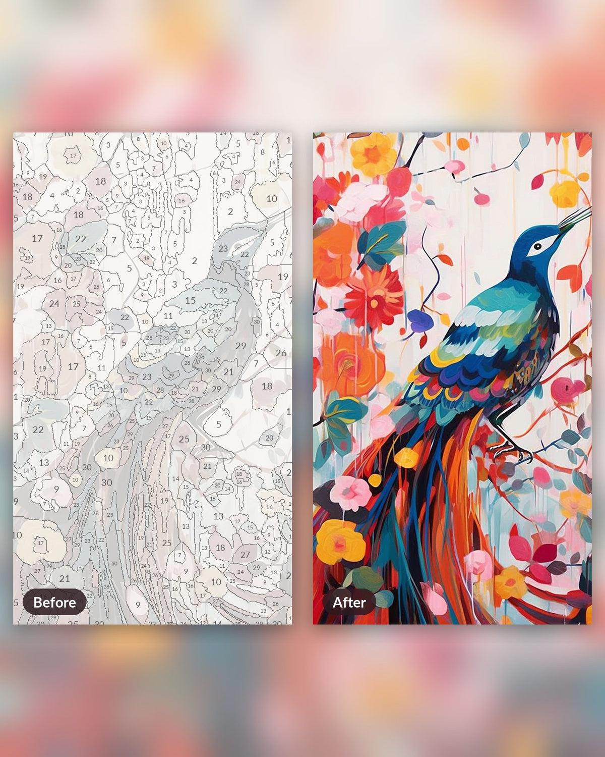 The Radiant Perch paint by numbers kit, before and after