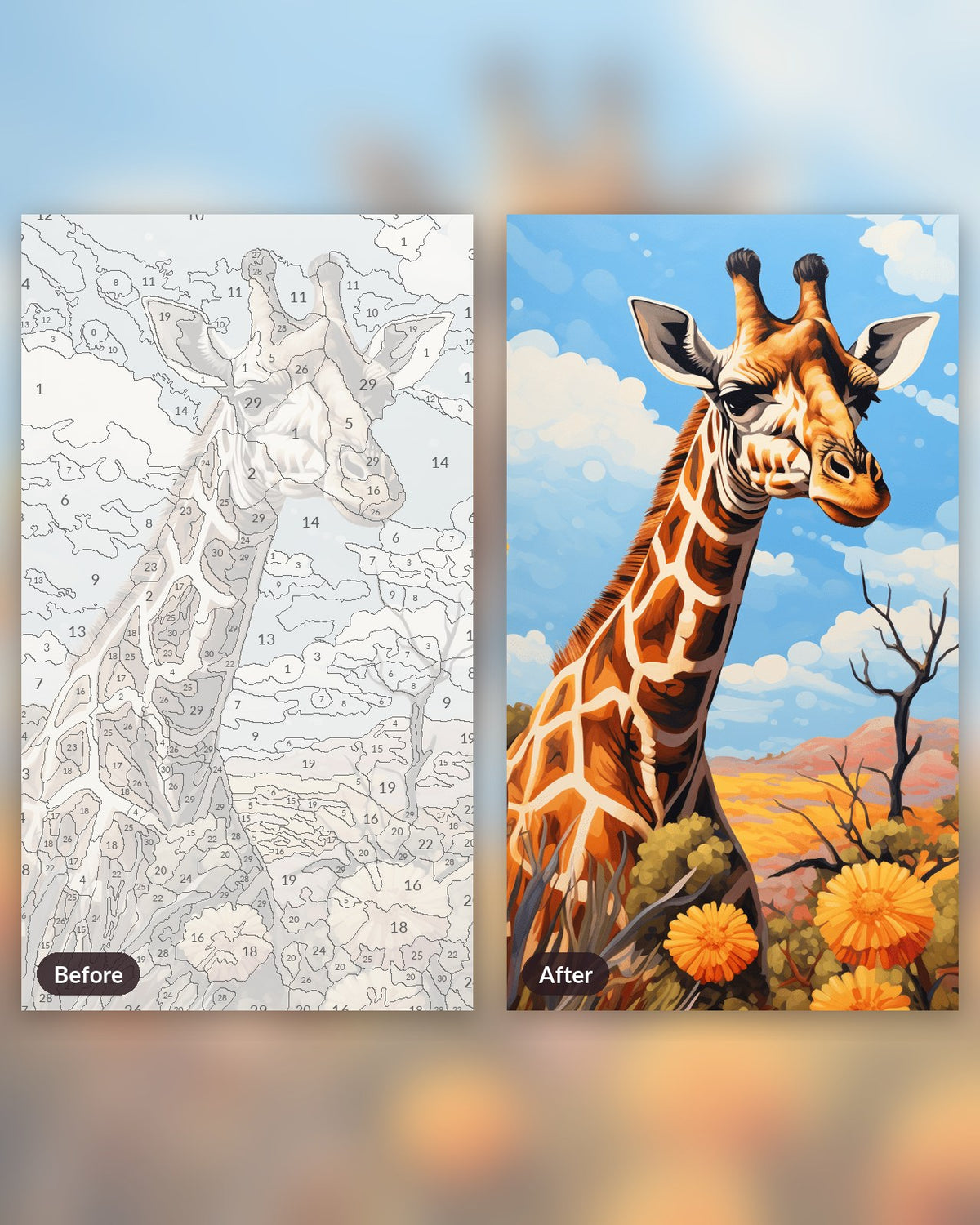 The Tall Gaze paint by numbers kit, before and after