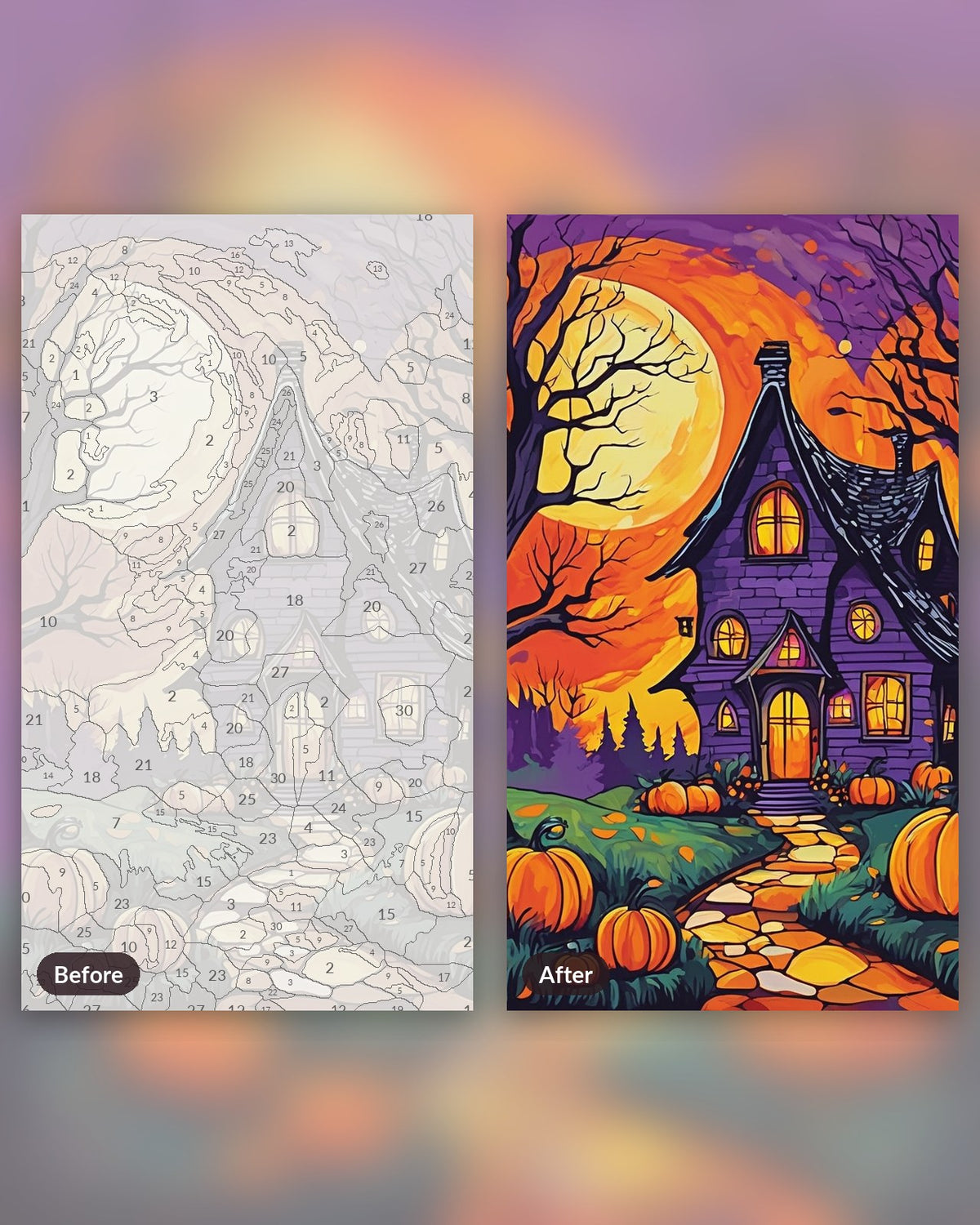 The Witch's Cottage paint by numbers kit, before and after