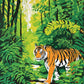 bengal tiger walking on a path through a green jungle with ferns and sunlight, paint by numbers kit