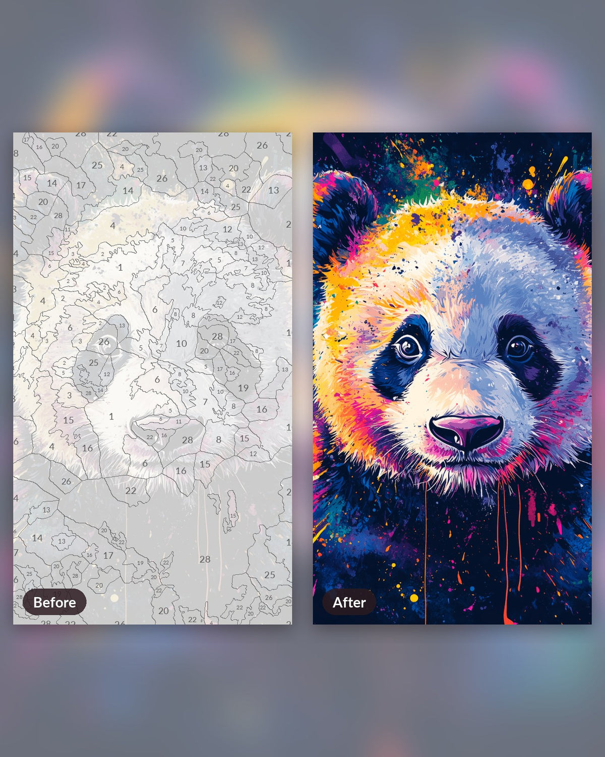 Tiny Panda paint by numbers kit, before and after