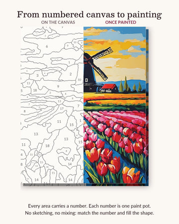 Tulip Rows Leading to a Windmill numbered canvas next to the finished painting