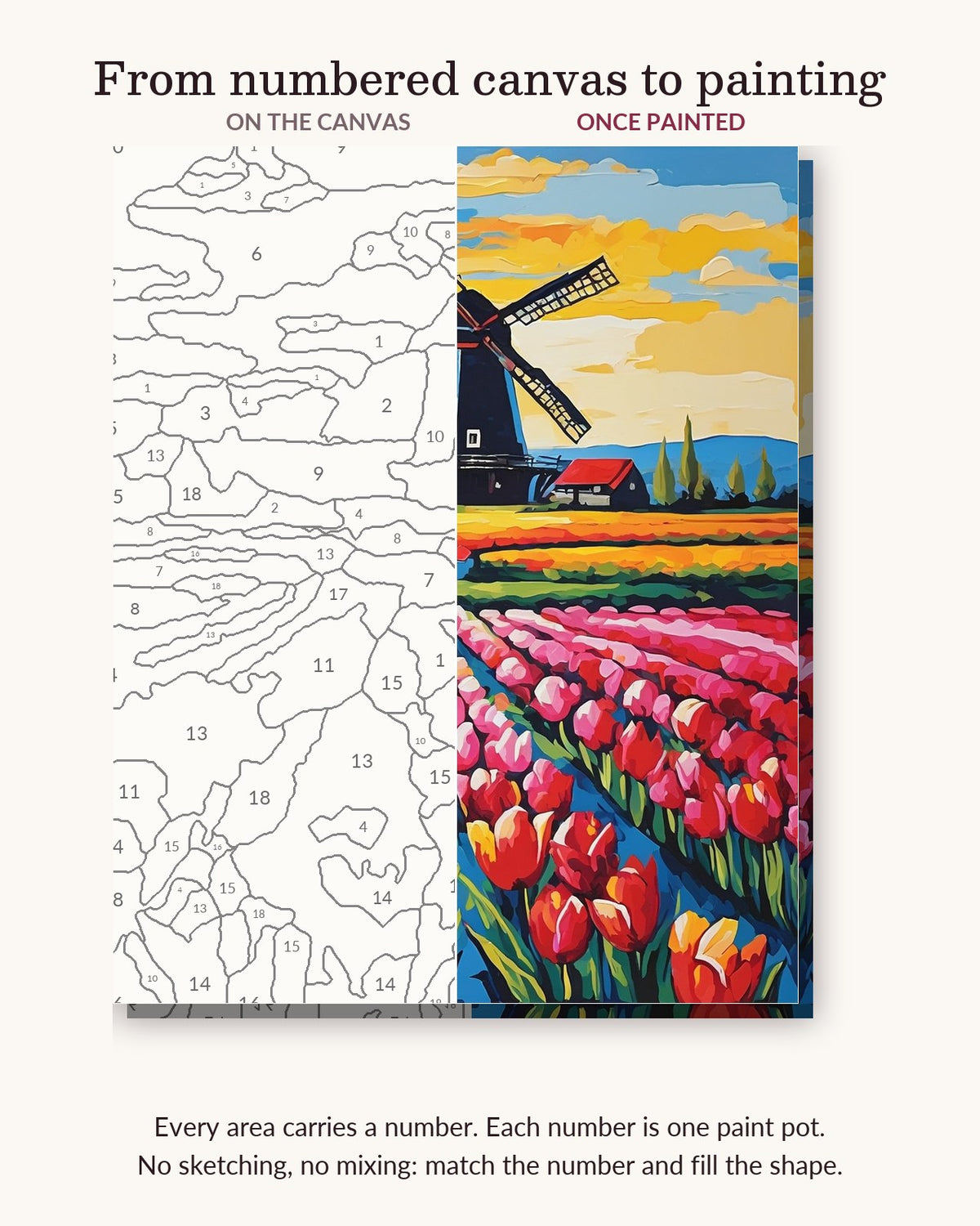 Tulip Rows Leading to a Windmill numbered canvas next to the finished painting