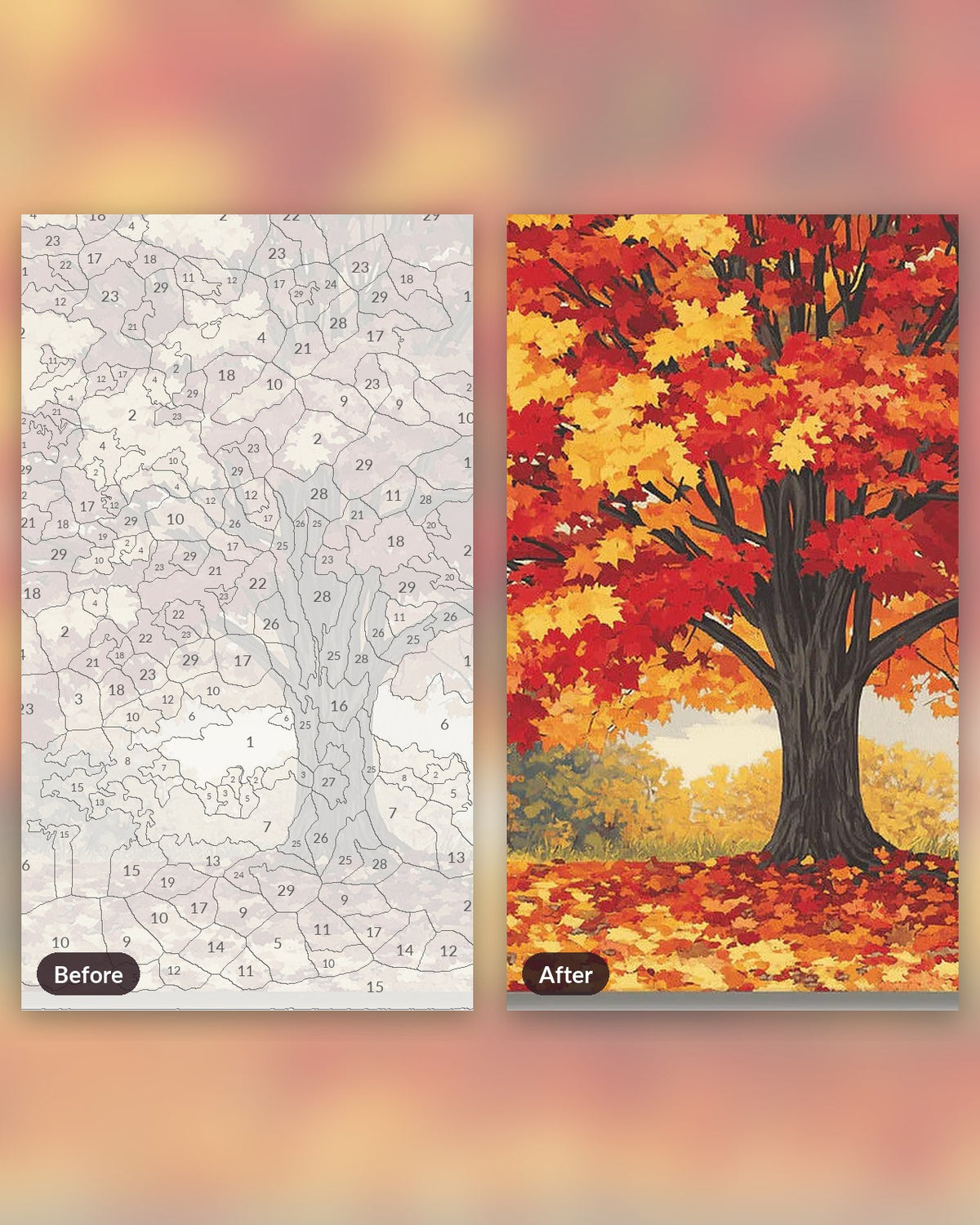Vibrant Maple paint by numbers kit, before and after