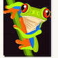Vibrant Tree Frog on the Move paint by numbers kit on stretched canvas