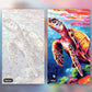 Vibrant Turtle paint by numbers kit, before and after