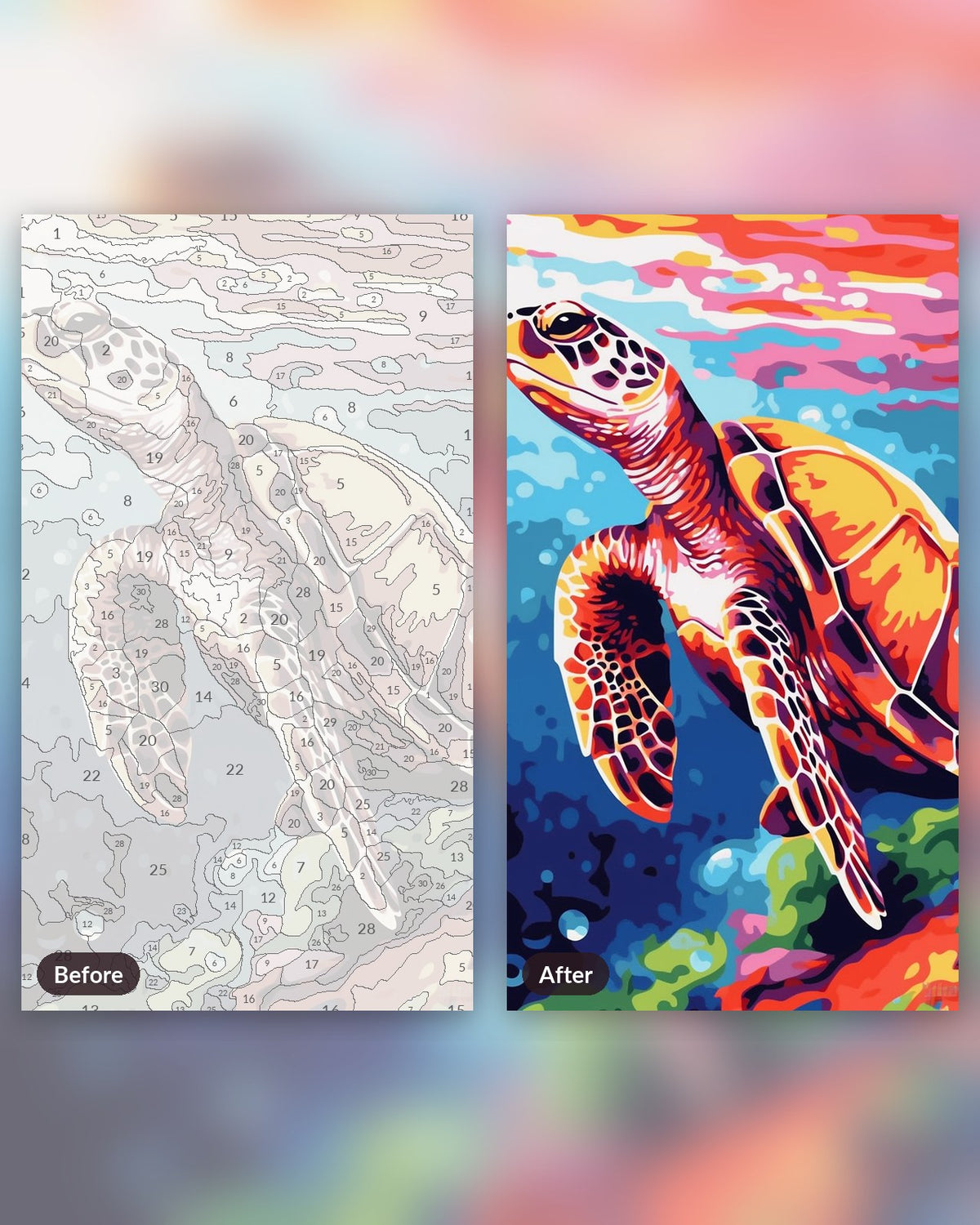 Vibrant Turtle paint by numbers kit, before and after
