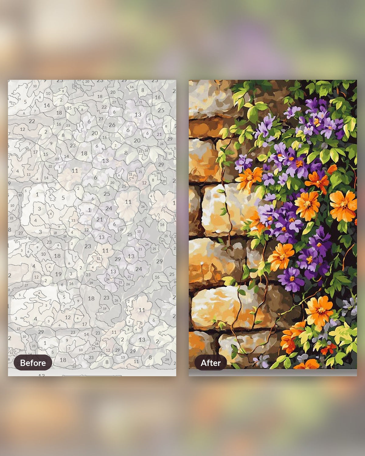 Vine Walls paint by numbers kit, before and after
