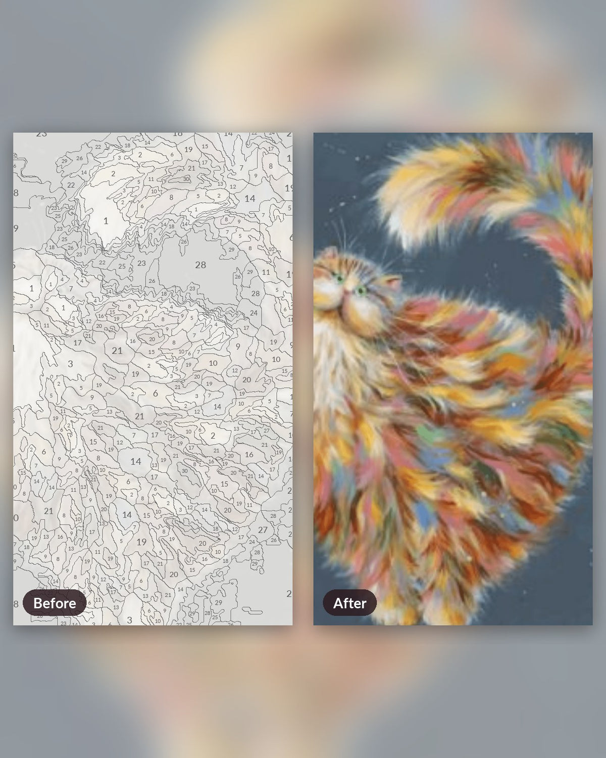 Whimsical Fluffy Cat of Many Colors paint by numbers kit, before and after
