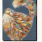 Whimsical Fluffy Cat of Many Colors paint by numbers kit on stretched canvas