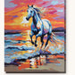 White Horse on the Beach at Sunset paint by numbers kit on stretched canvas