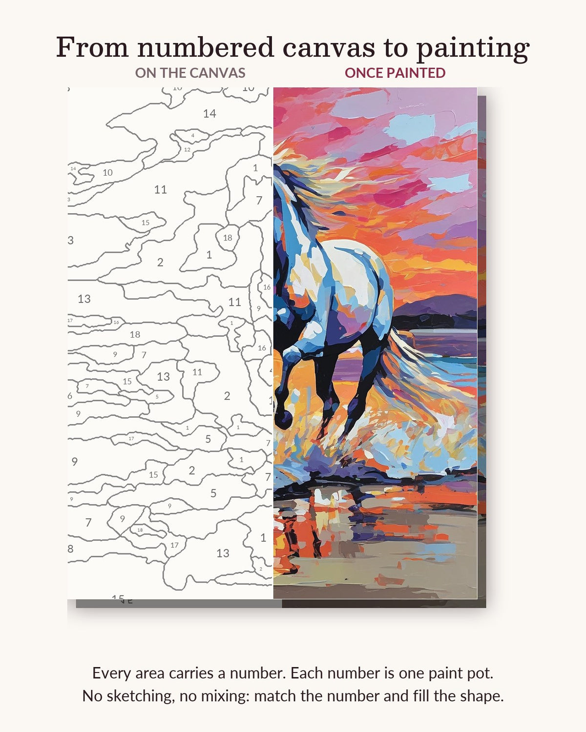White Horse on the Beach at Sunset numbered canvas next to the finished painting