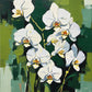 white orchids with yellow centers on thin stems against dark green and olive blocks of color, paint by numbers kit