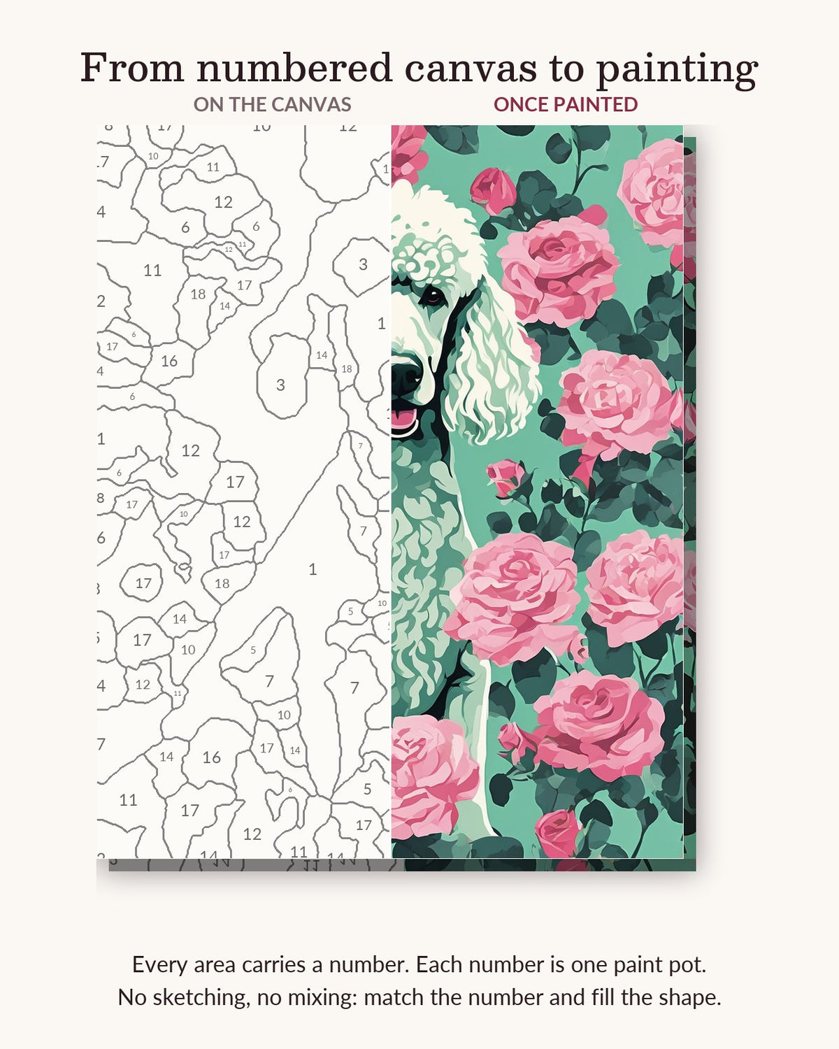 White Poodle with Pink Roses numbered canvas next to the finished painting