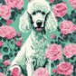 white poodle sitting among pink roses on a mint green background, paint by numbers kit