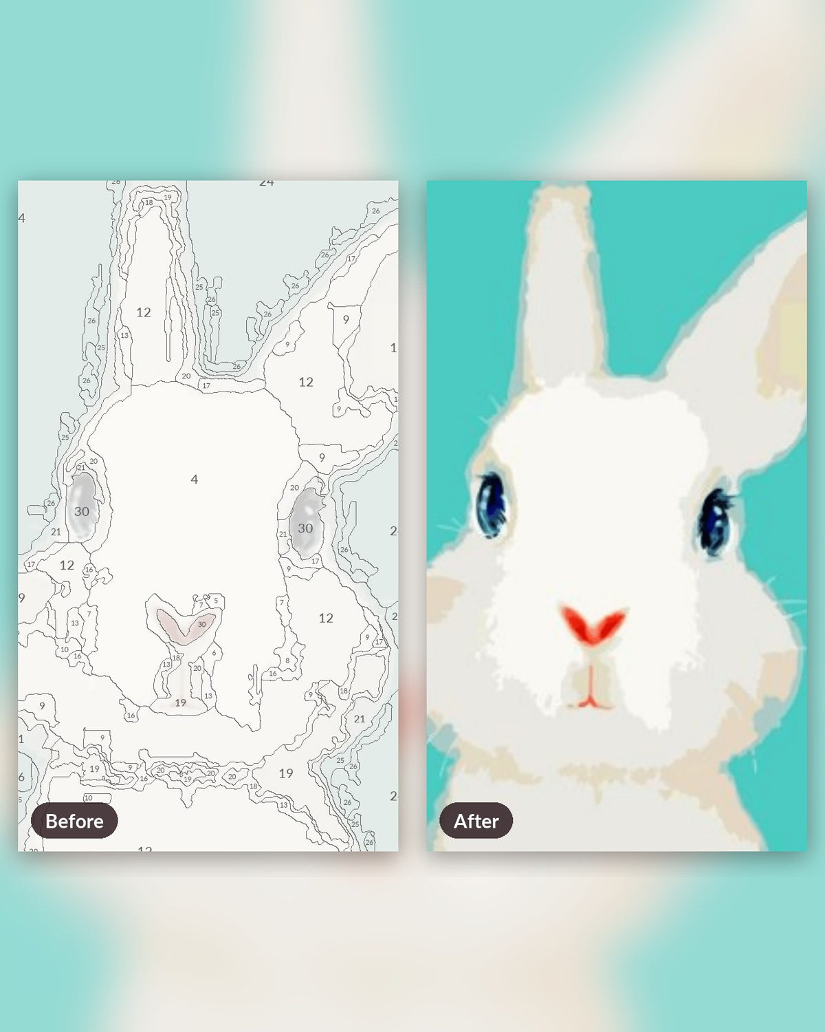 White Rabbit paint by numbers kit, before and after