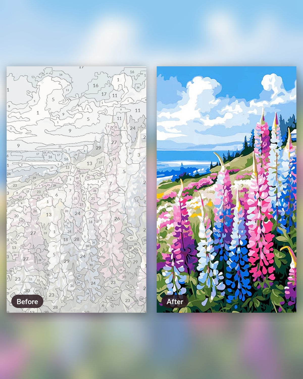 Wildflower Coastal Bluff paint by numbers kit, before and after