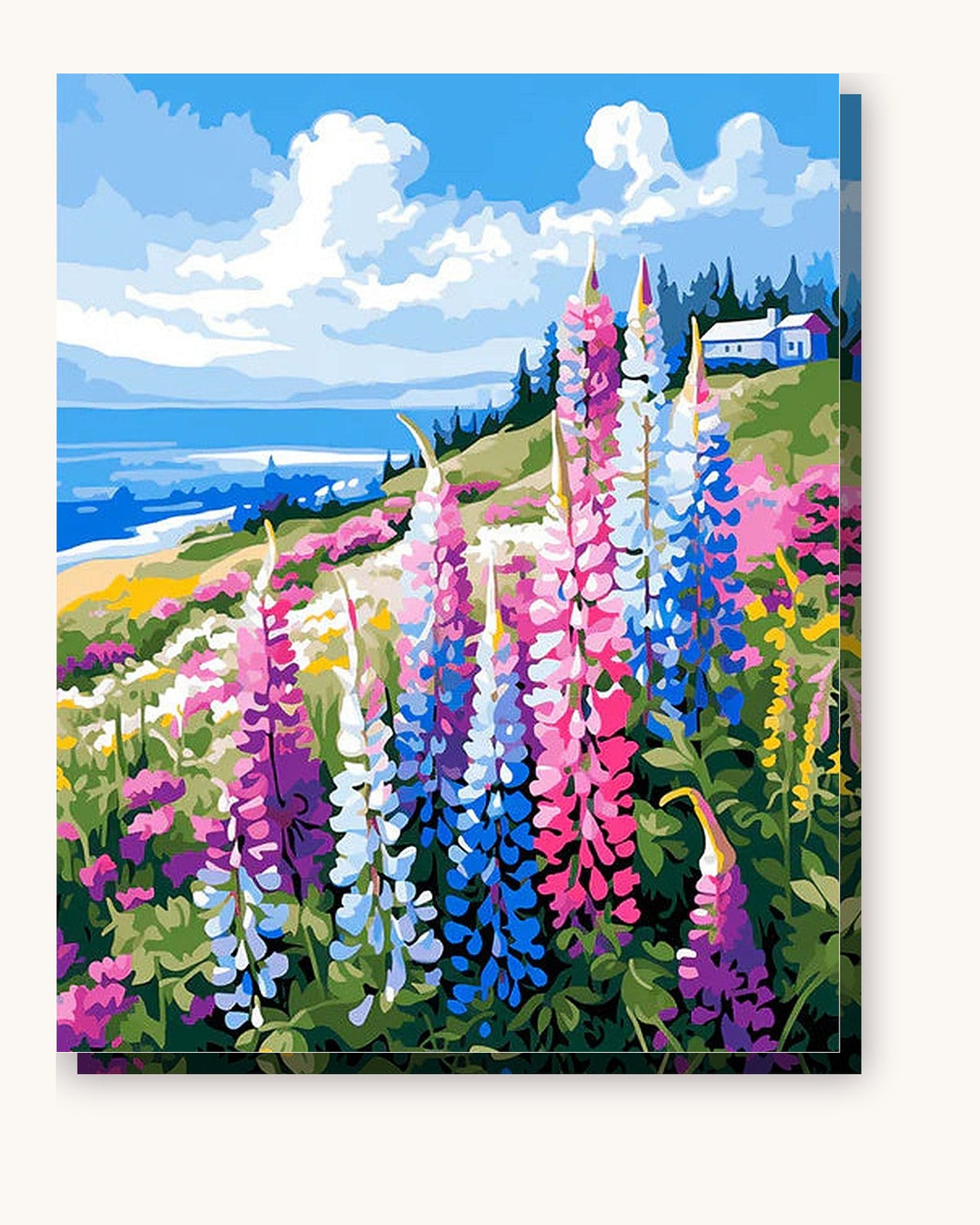 Wildflower Coastal Bluff paint by numbers kit on stretched canvas