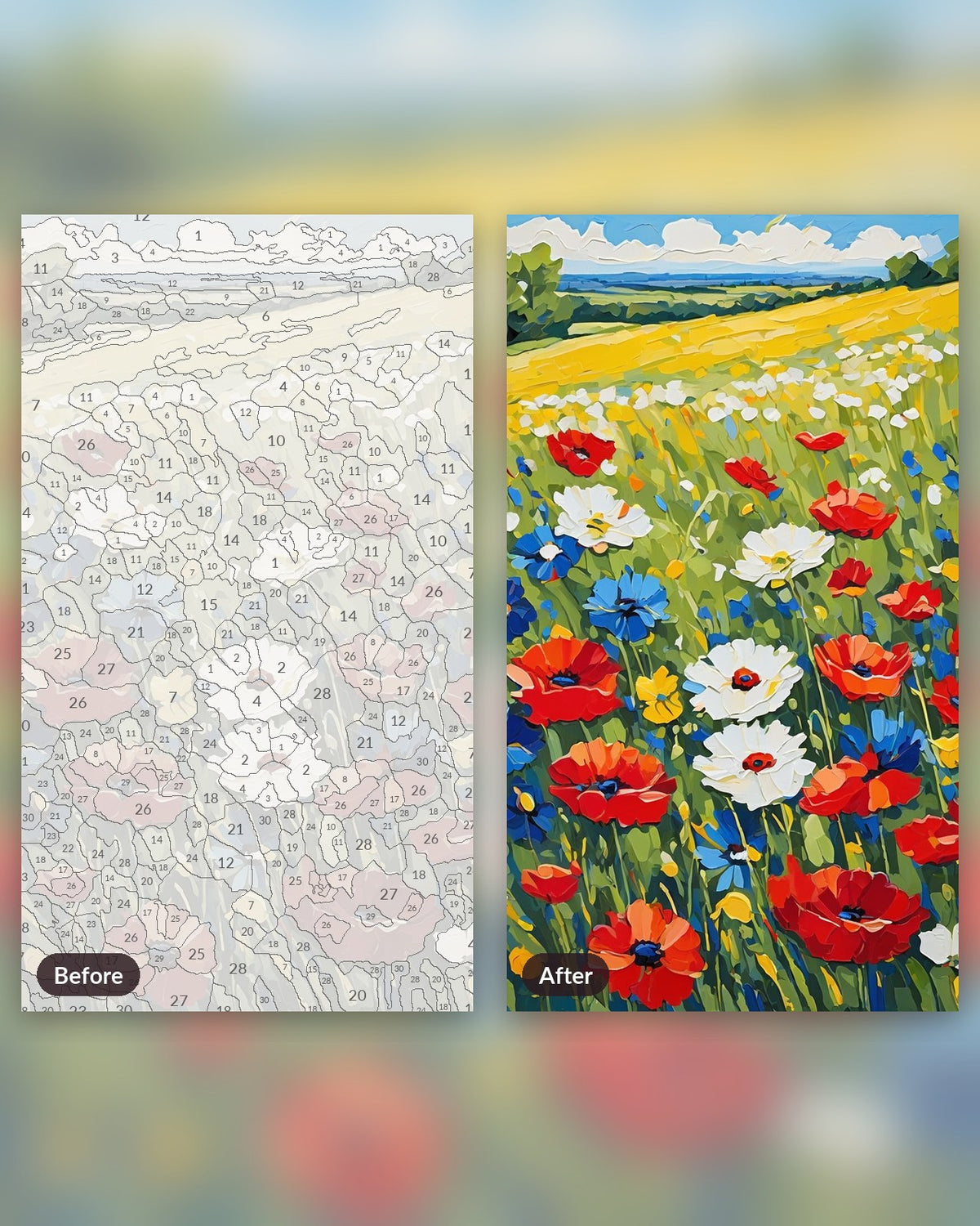 Wildflower Meadow paint by numbers kit, before and after