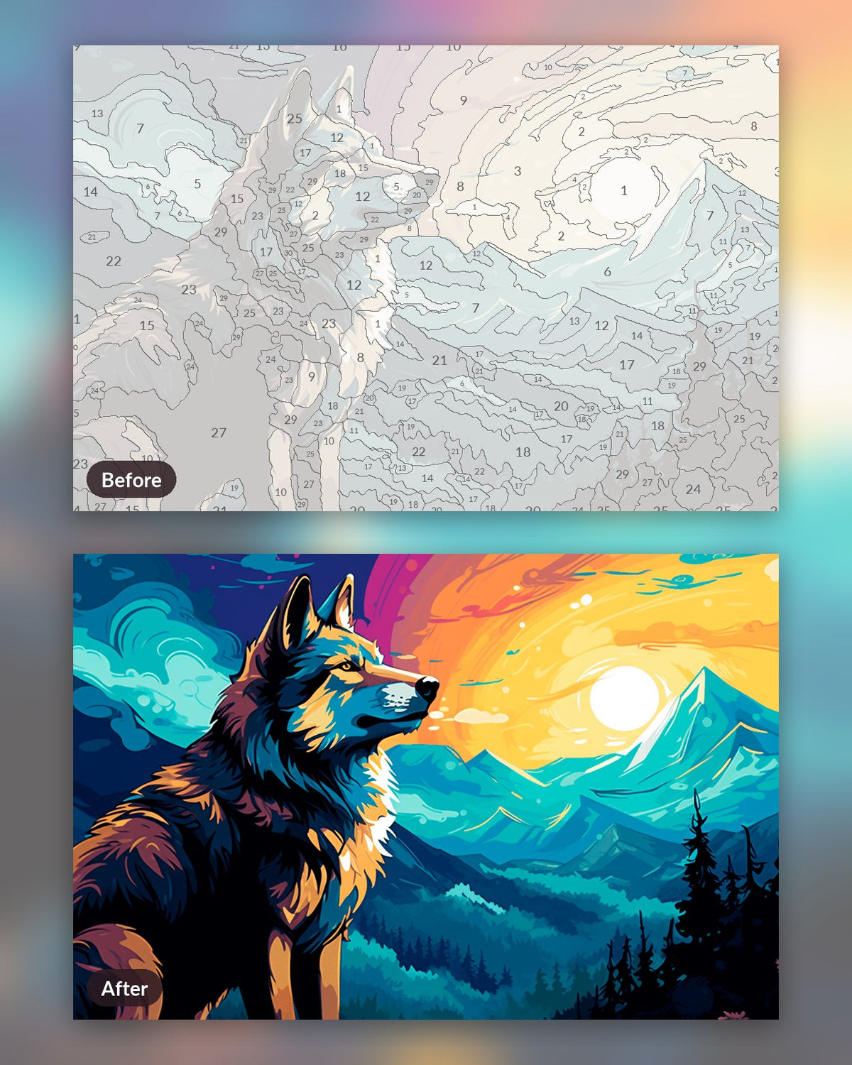 Wildland Wolf paint by numbers kit, before and after