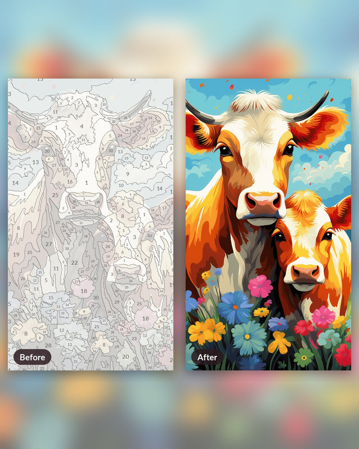 Young Cow paint by numbers kit, before and after
